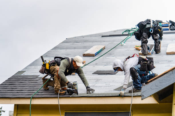 Professional Roofing technician working in Janesville, IA